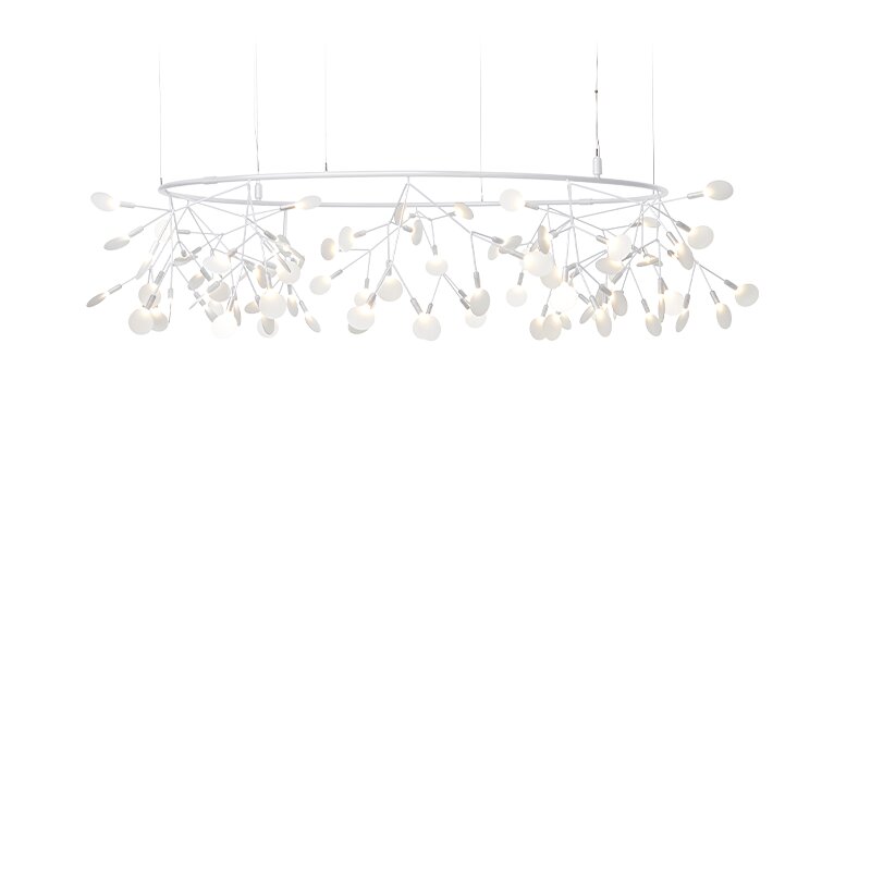 Heracleum III The Big O Small white