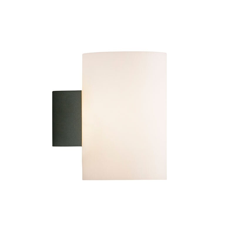Evoke L vägglampa IP44 antracit/opal glas
