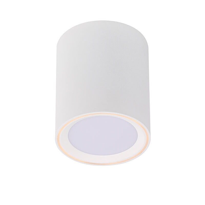Fallon Long downlight-In-Påbyggnad silver