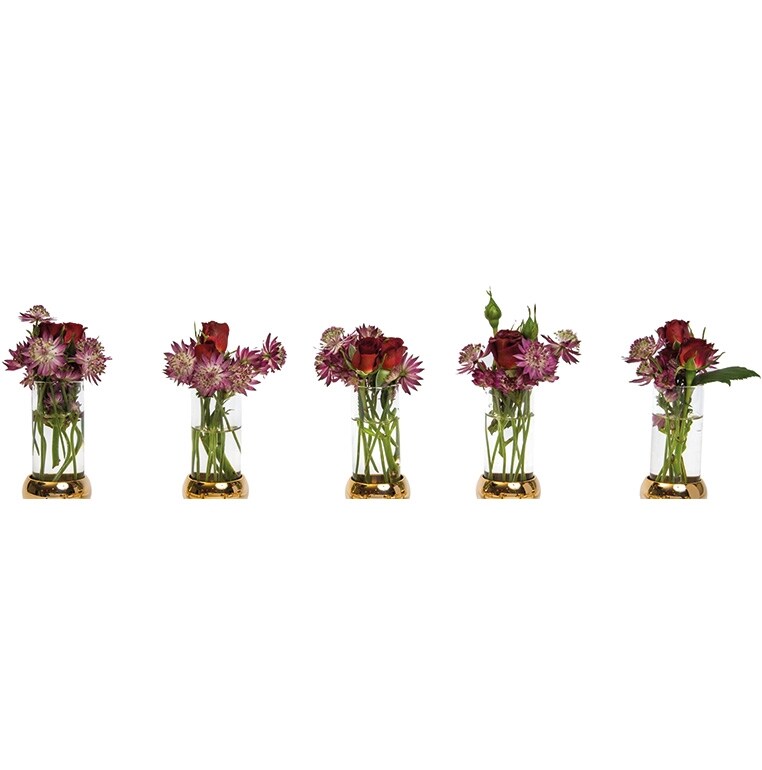 KLONG - Constella insats vas 5-pack