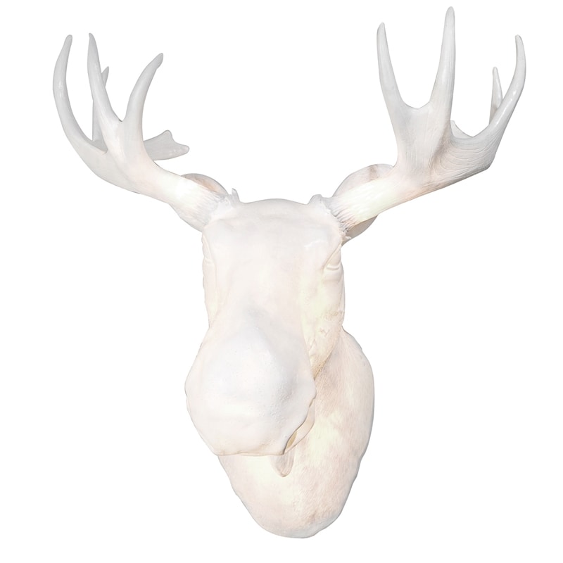 Moo Vägglampa