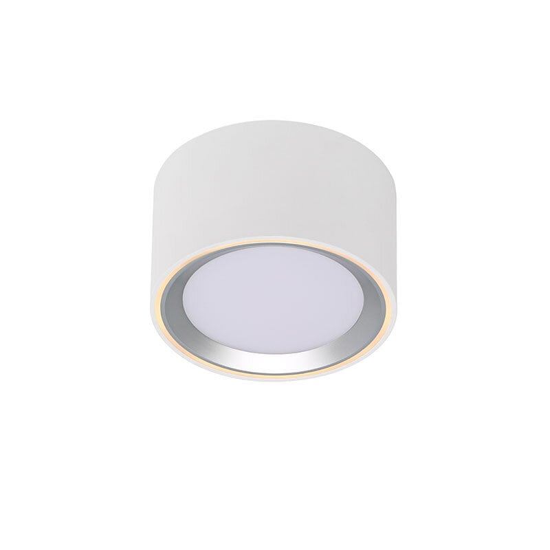 Fallon Downlight-In-Påbyggnad Vit/Steel