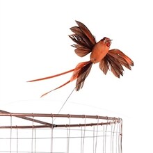 Tolomeo micro vägglampa